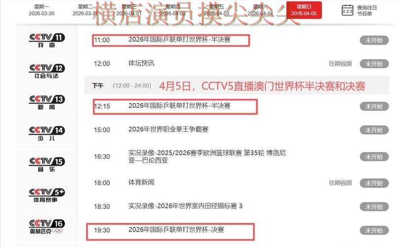 世界杯竞猜网站汇总报告：高清直播+直播与实际体验总结 - 世界杯赛事中心