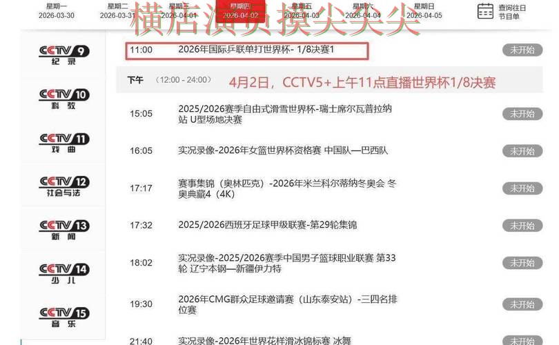 解析世界杯买球平台：从安全入口到直播观看全流程解析 - 世界杯实时直播