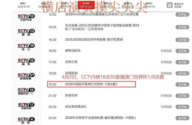 世界杯竞猜网站整理：聚焦速度测试与赛事直播体验 - 世界杯直播
