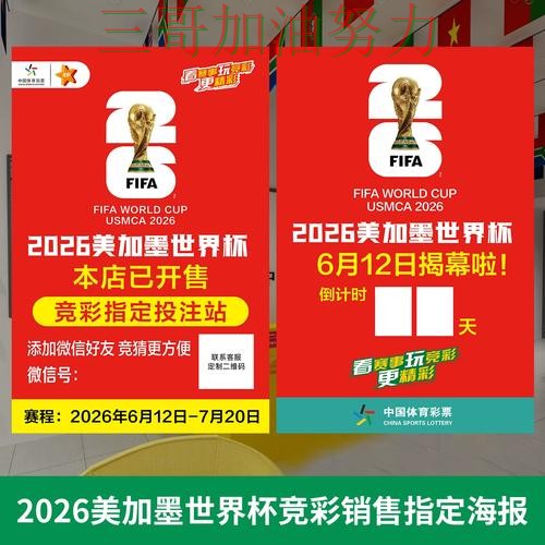 世界杯投注深度解析总结：入口在哪关键点解析（World Cup 2026）